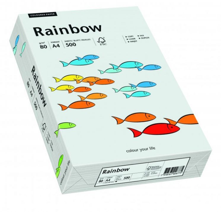 Papier kolorowy Rainbow a4 80g jasno szary
