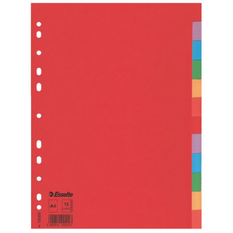 Przekładki kartonowe kolorowe Esselte A4 12 kart