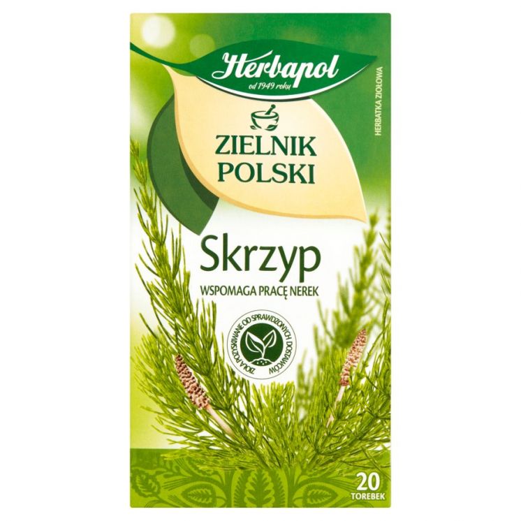 HERBAPOL HERBATA ZIELNIK POLSKI SKRZYP 20TB