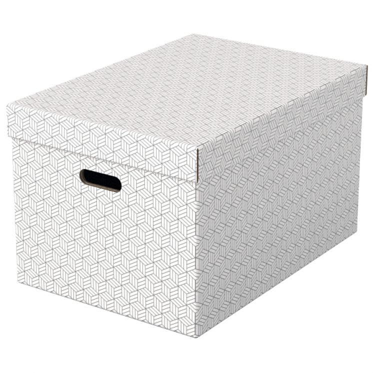 Pudełka domowe do przechowywania Esselte, rozmiar L, 3 sztuki, białe